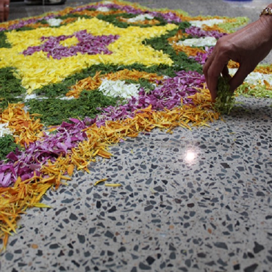 An arrangement of petals being laid out by hand.